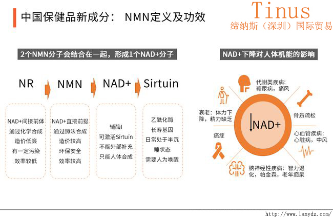 中国NMN成分保健品市场规模分析：预计2023年将攀升至270.13亿元贴牌代工市场大